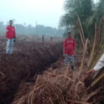 Lurah Raja Seberang Yaumil, S.STP Arahkan Mediasi Damai Sementata Akrius Dkk Warga Kotawaringin Barat yang Merugi dan Cemas Tuntut Keadilan.