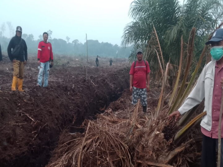 Lurah Raja Seberang Yaumil, S.STP Arahkan Mediasi Damai Sementata Akrius Dkk Warga Kotawaringin Barat yang Merugi dan Cemas Tuntut Keadilan.