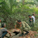 Cegah Karhutla dan Krisis Air di Sintang, Satgas TNI Cek Sumber Air Kayan Hilir (fokus pada langkah mitigasi dan peran Satgas).