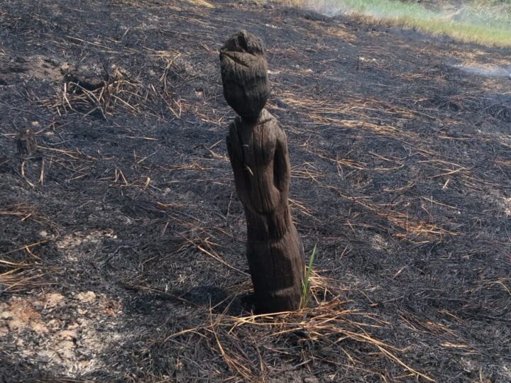 Sisa Karhutla di Kotim Ungkap Penemuan Sapundu Kuno Yang Ikut Terbakar