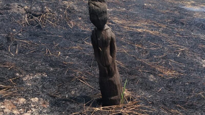 Sisa Karhutla di Kotim Ungkap Penemuan Sapundu Kuno Yang Ikut Terbakar