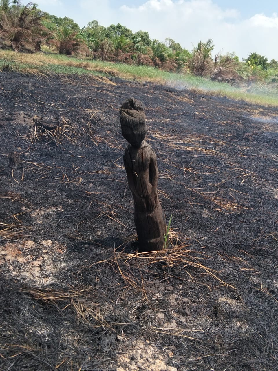 Sisa Karhutla di Kotim Ungkap Penemuan Sapundu Kuno Yang Ikut Terbakar