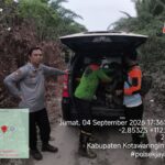 Polsek Jaya Karya Bersama Unsur Terkait Padamkan Api di Lahan Jalan SMAN 1 MHS