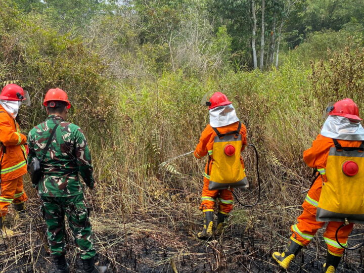 Koramil 1204-15/Sekadau Hilir Padamkan Tiga Titik Karhutla di Dusun Sungai Kunyit