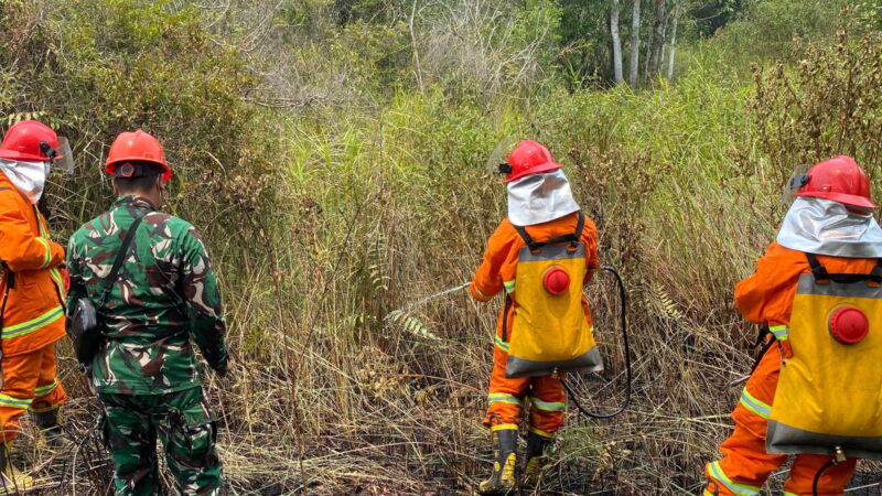 Koramil 1204-15/Sekadau Hilir Padamkan Tiga Titik Karhutla di Dusun Sungai Kunyit