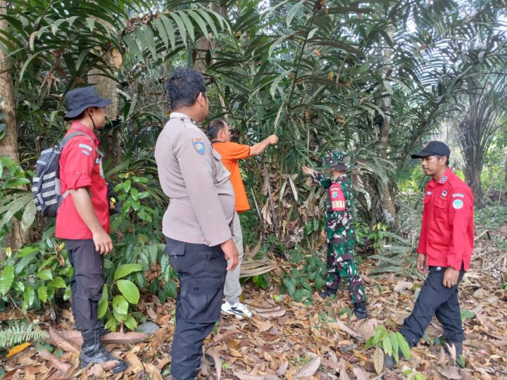 Babinsa Beserta Tim Terpadu Intensif Lakukan Patroli dan Sosialisasi