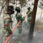 Personel Tim Siaga On Call Kodim 1015/Sampit Padamkan Api Karhutla