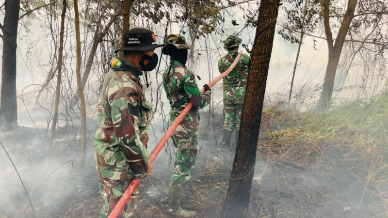 Personel Tim Siaga On Call Kodim 1015/Sampit Padamkan Api Karhutla