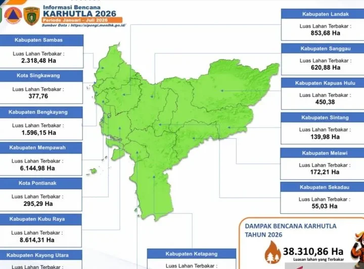 BNPB Catat 7.377 Titik Panas Karhutla di Kalimantan Barat, Asap Masih Pekat