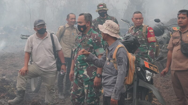 Dandim 1015/Sampit Pimpin Langsung Patroli dan Ground Check Lokasi Karhutla di Mentaya Seberang