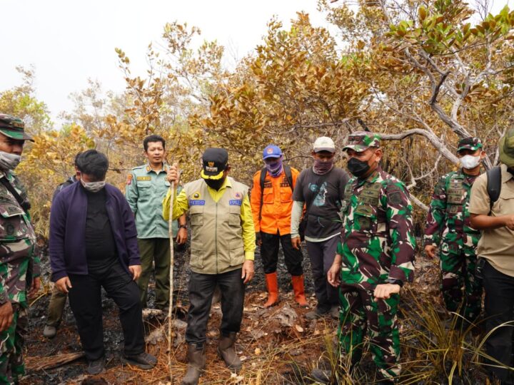 Komandan Kodim 1015/Sampit Dampingi Komandan Korem 102/Panju Panjung Tinjau Langsung Penanganan Karhutla Di Taman Nasional Tanjung Puting