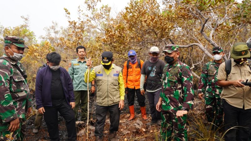 Komandan Kodim 1015/Sampit Dampingi Komandan Korem 102/Panju Panjung Tinjau Langsung Penanganan Karhutla Di Taman Nasional Tanjung Puting