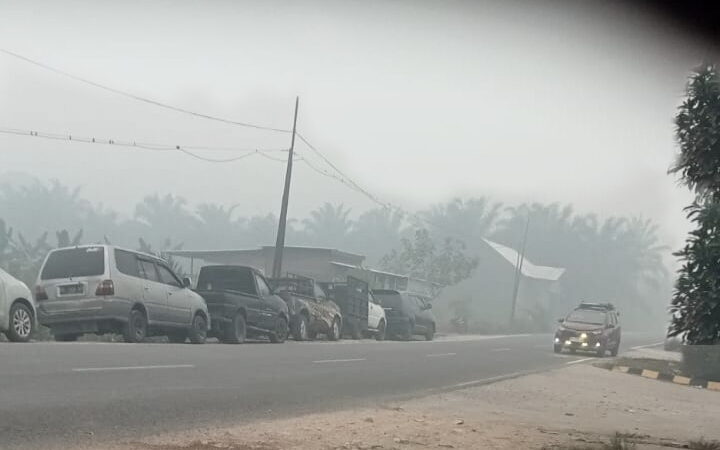 Kabut Tebal Selimuti Lamandau hingga Palangka Raya, Lalu Lintas Tersendat dan Aktivitas Kerja Terganggu