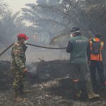 Koramil 1015-07/Parenggean Bersama Tim Gabungan Tangani Karhutla di Wilayah Parenggean